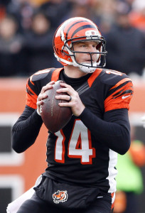 NFL: Baltimore Ravens at Cincinnati Bengals