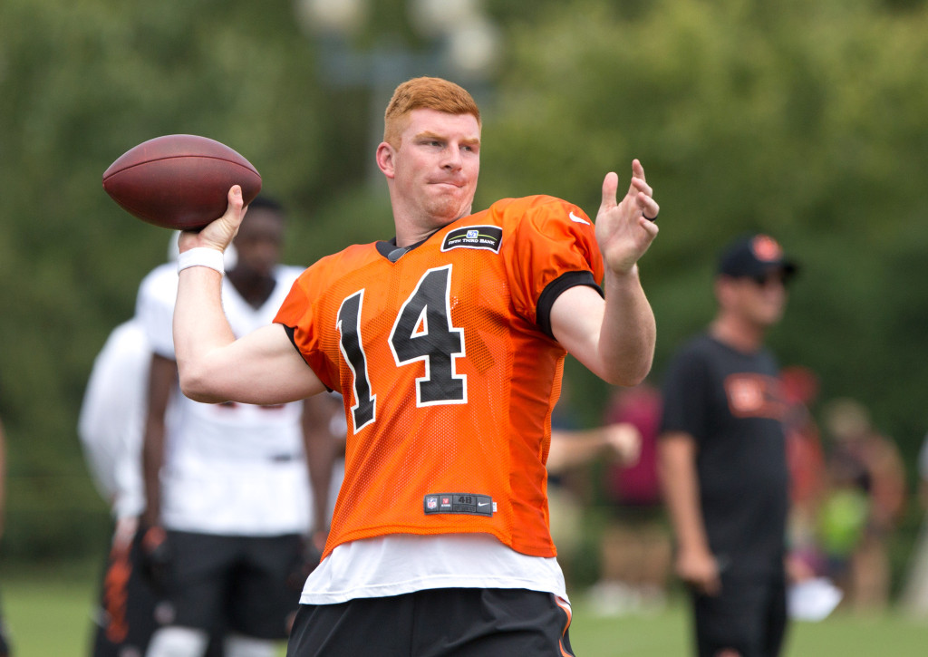 andy dalton 2020 stats andy dalton 2020 stats