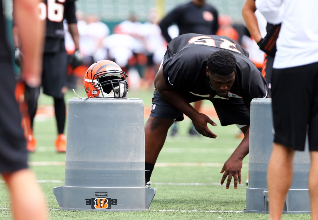 Miami Dolphins sign DT Andrew Billings