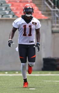 Brandon LaFell (vertical)