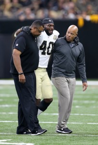 Delvin Breaux (vertical)