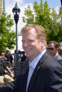 Roger Goodell (vertical)