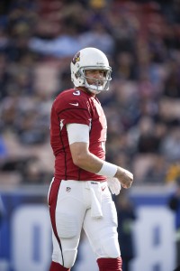 Carson Palmer (vertical)