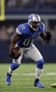 Anquan Boldin (Vertical)