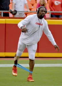 Tamba Hali (vertical)