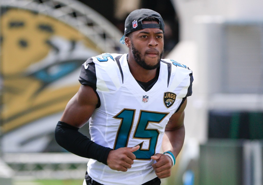 Franchise Tag Candidate: Allen Robinson