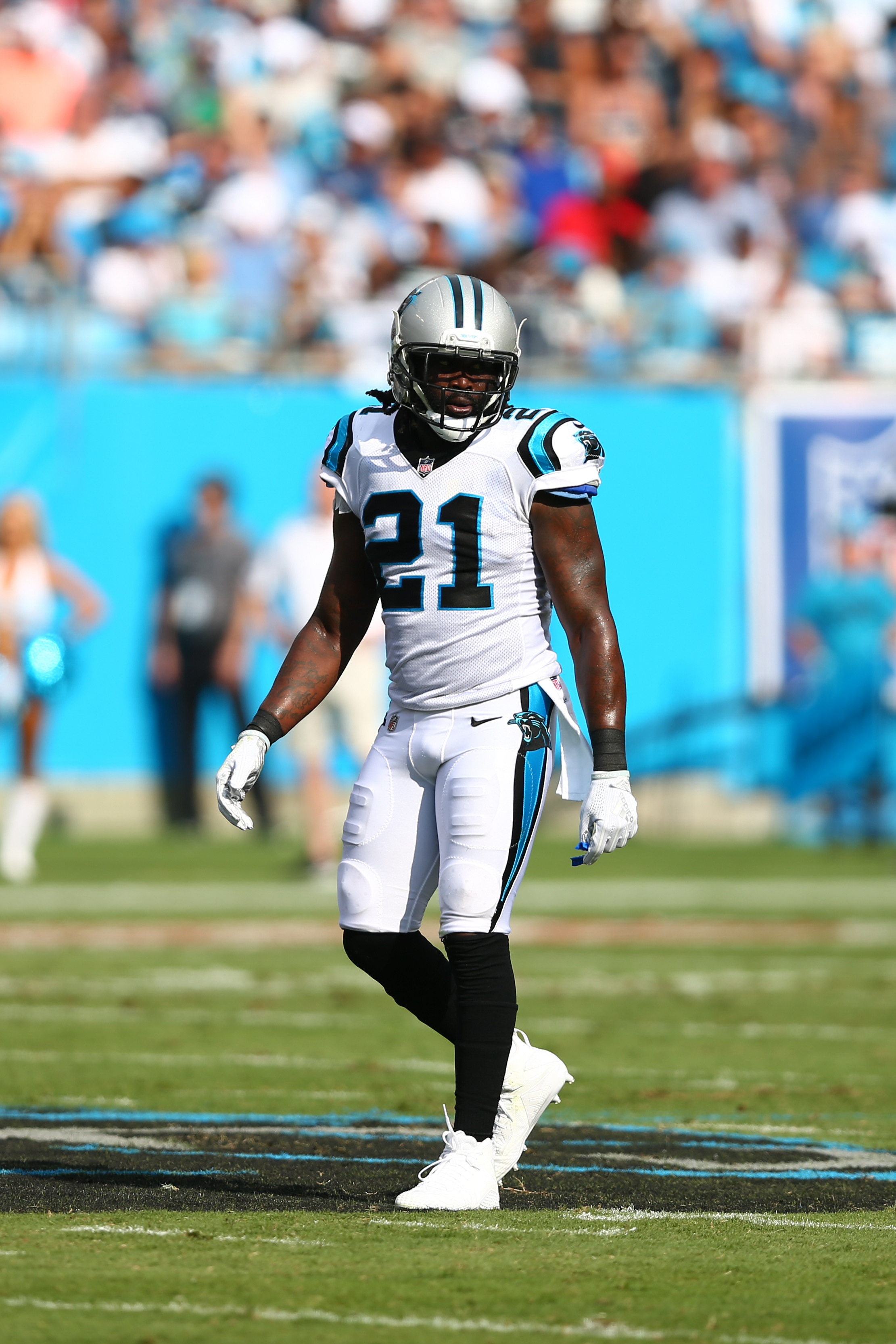 Panthers Cut S Da'Norris Searcy