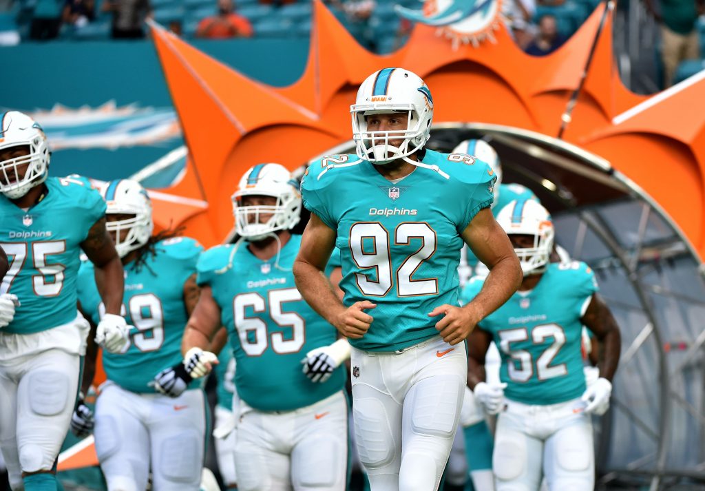 dolphins-release-john-denney