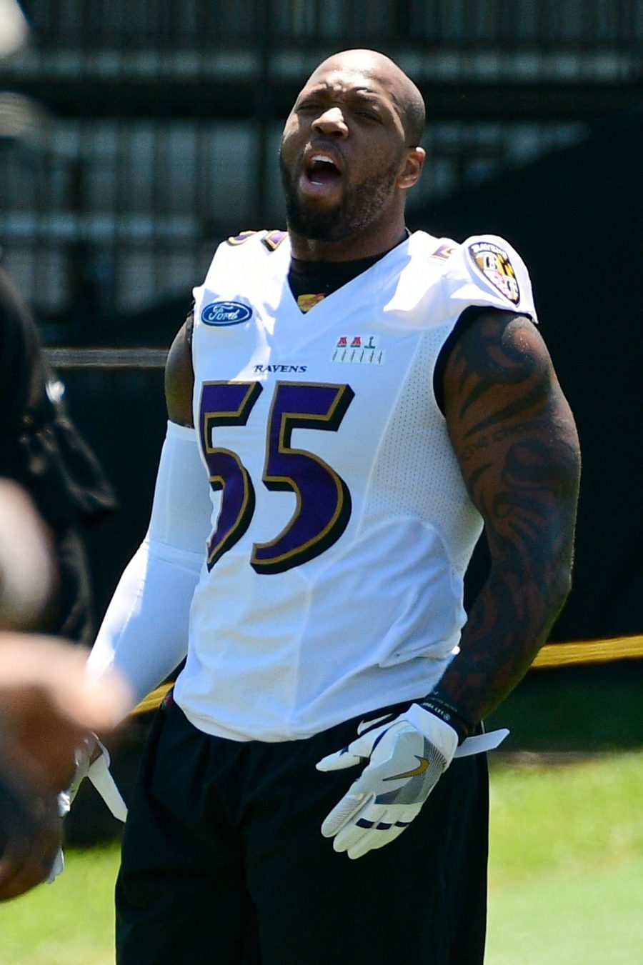 Ravens Want Terrell Suggs Back