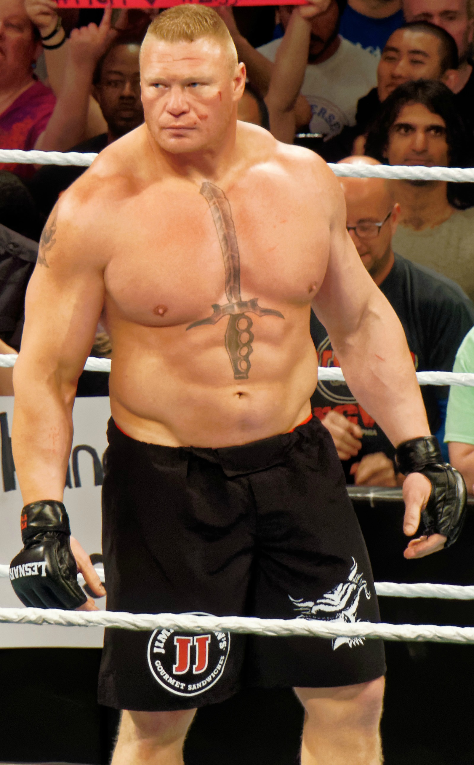 This Date In Transactions History Vikings Brock Lesnar Retires From NFL