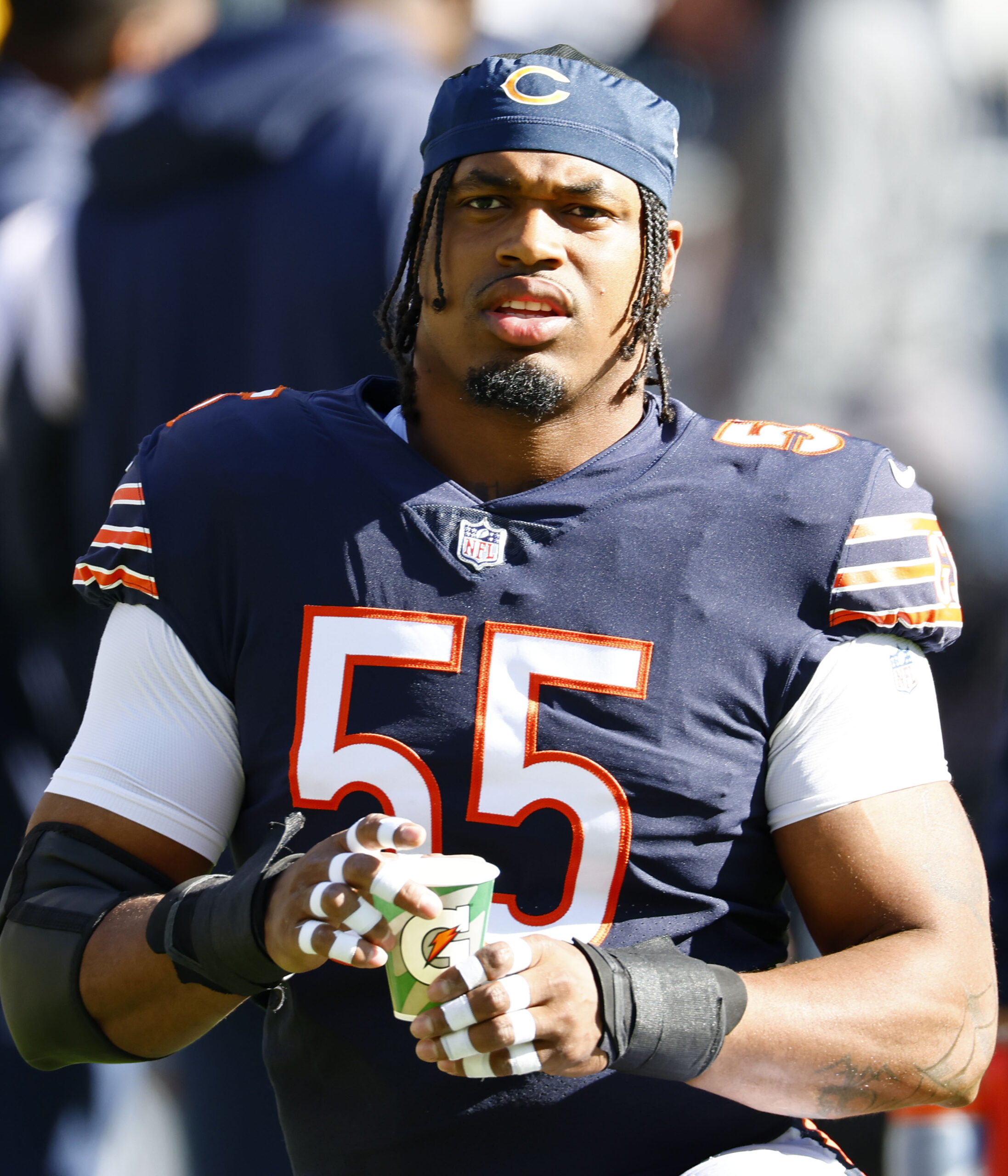 Let's remember some Chicago Bears players - Windy City Gridiron