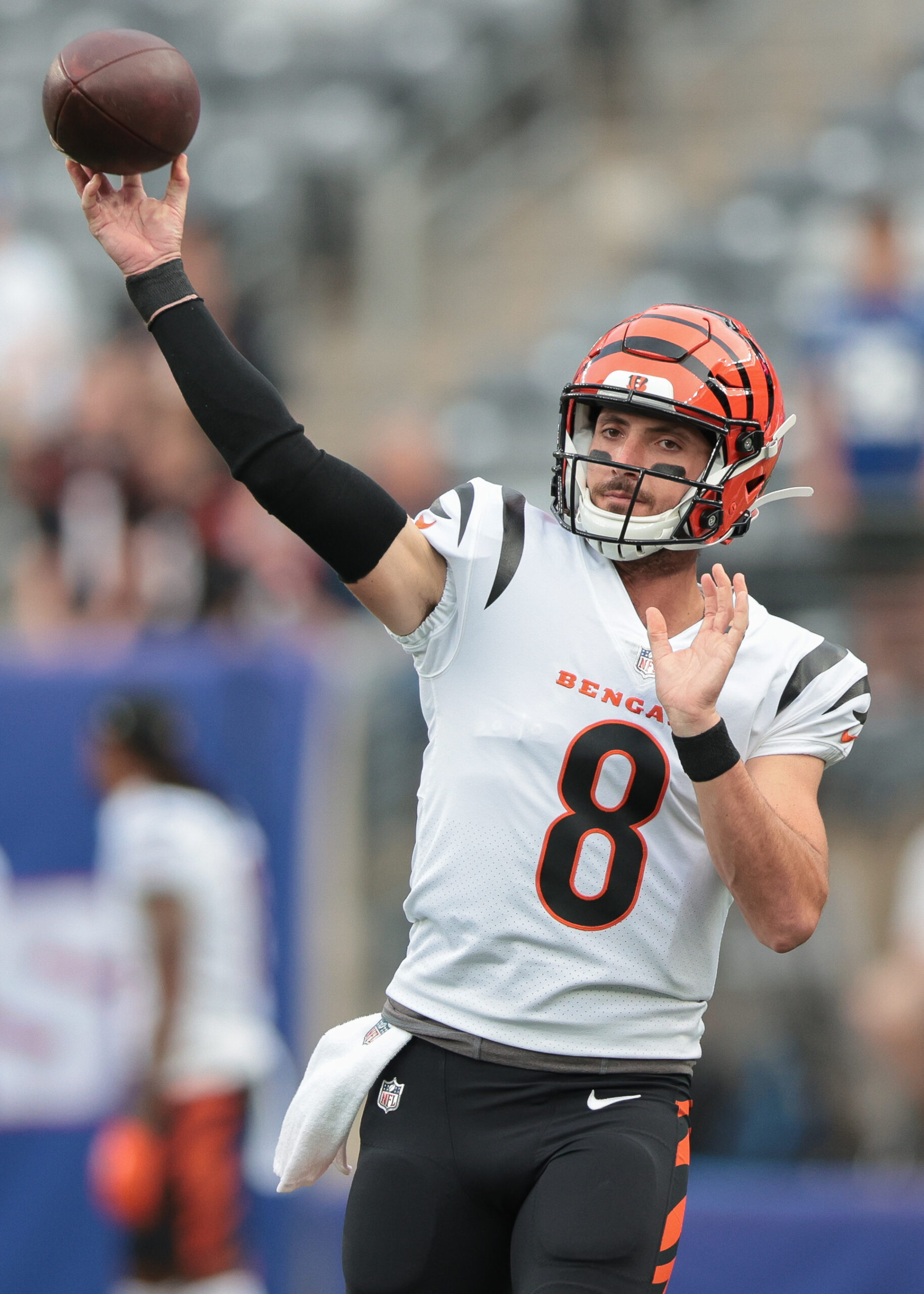 Bengals Could Target QB Addition